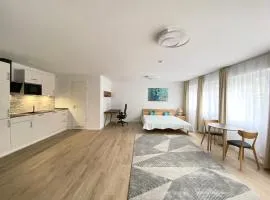 Sehr zentral, geräumiges, helles Studio-Apartment