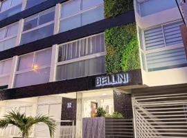Bellini Suites Apartments，位于圣克鲁斯的酒店