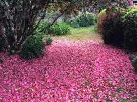 English Gardens - Garden Retreat