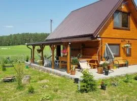 Agrosturystyka Leśna 21