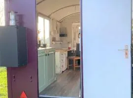 Pipowagen Paarse Opal