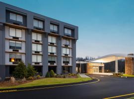 Fairfield Inn & Suites Springfield Enfield，位于斯普林菲尔德Grassmere Golf Course附近的酒店