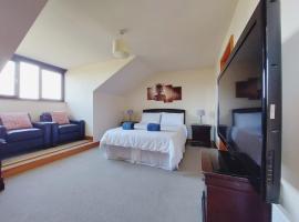 Private accommodation in house close to Galway City，位于戈尔韦的住宿加早餐旅馆