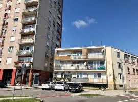 Apartments with WiFi Karlovac - 20584