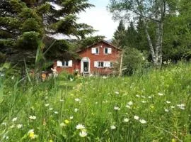 Chalet Chic mit Hot Pot