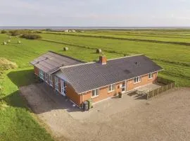 Nice Home In Ringkøbing With Wifi