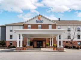 Comfort Inn & Suites，位于列克星敦的酒店