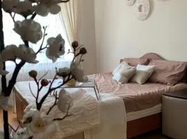 Центр (2). Простора квартира. С. Крушельницької