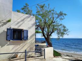 Floras Charming Waterfront Villa，位于Melínta的酒店