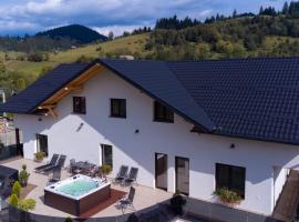 Vila Victoria Moldovița，位于摩尔多维察的带热水浴缸的酒店