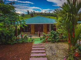 Rio Celeste Springs Blue Lodge，位于比加瓜的木屋