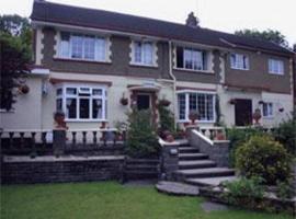 Winston Hotel，位于Bishopston的酒店