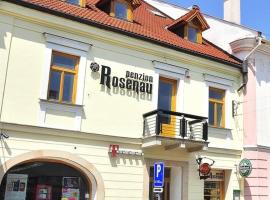Penzión Rosenau，位于罗日尼亚瓦的酒店