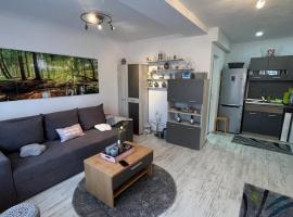 Apartament Acasa Sf.Gheorghe，位于圣格奥尔基的公寓