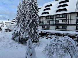 Apartments Konaci Kopaonik，位于科帕奥尼克的公寓