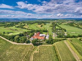 Hofgut Wißberg - Das Weinberghotel，位于Sankt Johann的酒店