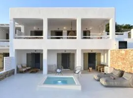 Luxury Paros Villa Villa Ianthe Striking Beauty 4 bedrooms Glisidia
