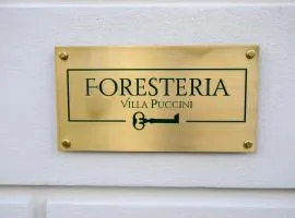 Foresteria Villa Puccini Casa per Ferie-Holiday Home