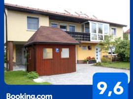 Apartma Vila Zigmund，位于采尔克尼察的公寓