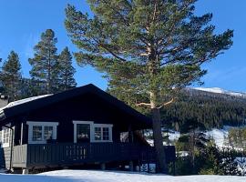 Uvdalhytta - close to cross country and downhill skiing，位于SønstebøMjolner附近的酒店