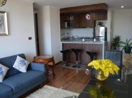 Departamento Concepción III