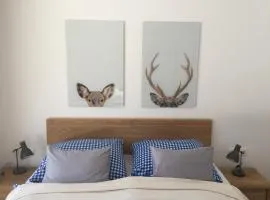 Privatwohnung am Prielerweg in Hinterstoder
