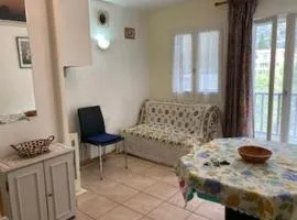 Appartement F2 Confortable à Amélie-les-Bains – Balcon, Parking, Proche Thermes, Animaux Bienvenus - FR-1-703-15