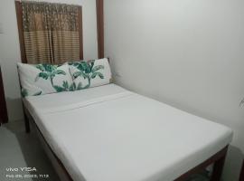 Vincent Lloyd's Guestroom，位于圣维森特的酒店