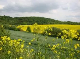 Ferienbauernhof Neumühle