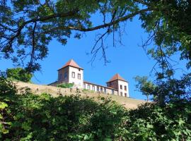 Château de Gorze，位于Germolles-sur-Grosne的酒店