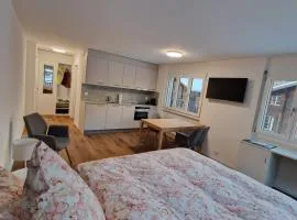 Studio direkt an der Langlaufloipe