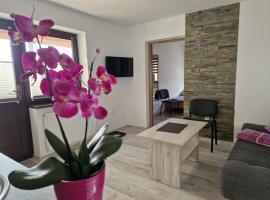 Apartamenty u Krystyny，位于Klikuszowa的酒店