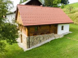 Grunt Sonek，位于Mislinja的酒店