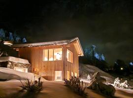 Chalet ski-in ski-out Nendaz，位于南达的带停车场的酒店