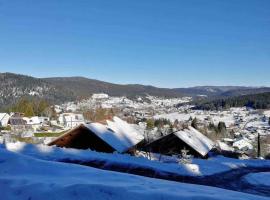 Studio en altitude avec terrasse proche Gerardmer，位于克松吕-隆日梅的酒店