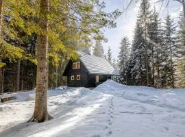 Cosy Lodge Pokljuka