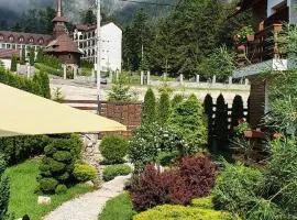 Pensiunea Turistica Villa Ermitage