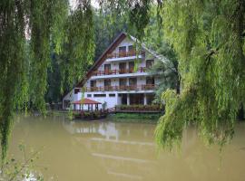 Guest house Lacul Linistit，位于莫内亚萨的酒店