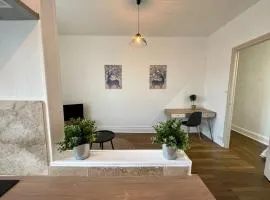 A1G Nancy Thermal Artem chambre