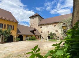 Burg St. Veit, Wohnen mit Charme，位于格兰河畔圣法伊特的酒店