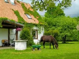 Apartamenty na wsi Horses&Relax