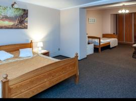 Hotel Restauracja IRAL，位于新托梅希尔的酒店