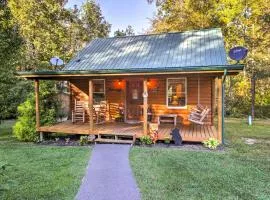 Pet-Friendly Cosby Log Cabin with Backyard and Porch!