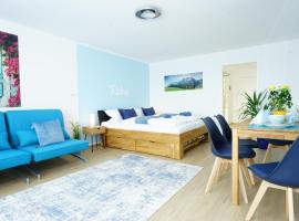 RELAX - BLUE mit Pool und Sauna，位于沙伊代格的公寓