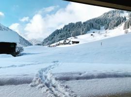 Kracha Alpinlodge，位于米特尔贝格的酒店