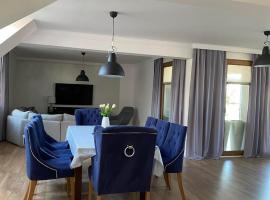 Apartament DeLux，位于帕斯文克的酒店