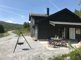 Grand and modern cabin