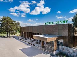 莱斯尼酒店，位于比亚韦斯托克Salt cave附近的酒店