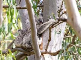 A quiet unit overlooking a reserve