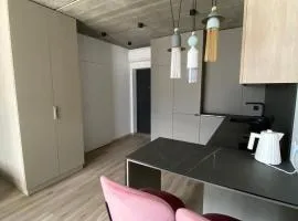 J. Ralio apartamentai (monkey)